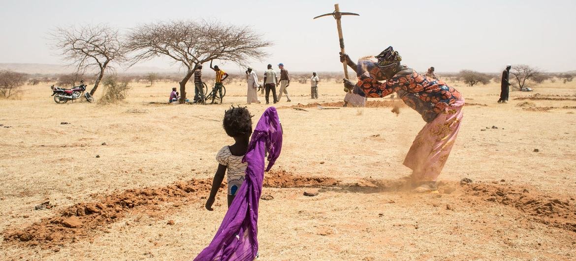 Conférence contre la désertification à Abidjan : la dégradation des terres n’est pas une fatalité, selon l’ONU (*)