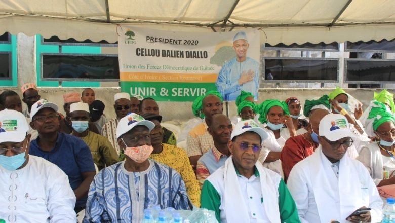 Les fédérations UFDG en Afrique soutiennent la décision d&rsquo;exclusion d&rsquo;Ousmane Gaoual Diallo