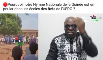 Au Samouraï de la haine et du mensonge…(Par Abdoulaye J Barry)