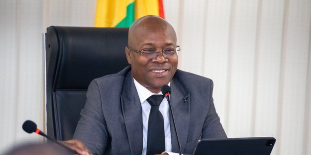Ousmane Gaoual Diallo : « Nous invitons la CEDEAO à éviter les traitements paracétamol »