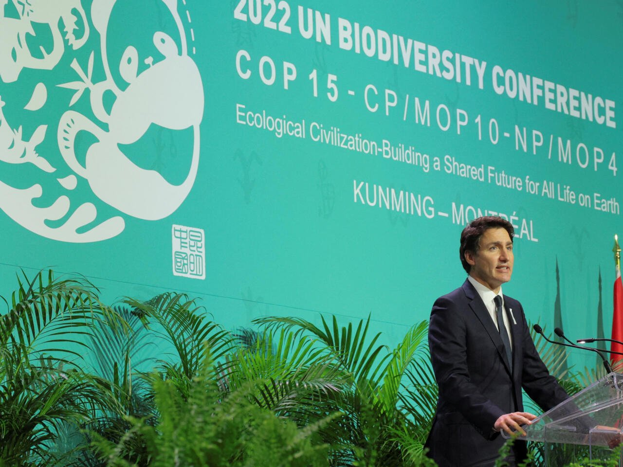COP 15 Montréal : la fumée blanche sortira-t-elle du rendez-vous des Nations Unies sur la biodiversité ?