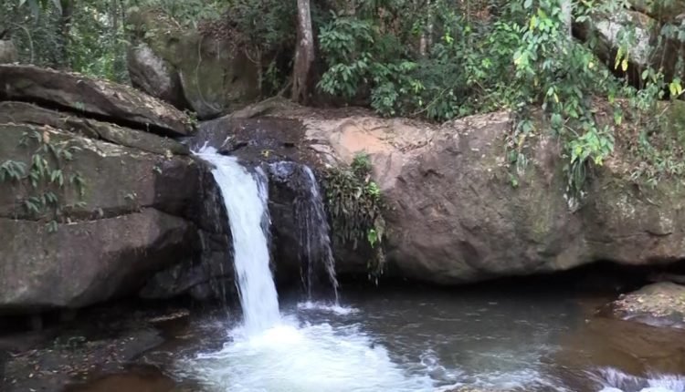 N’Zoo-Lola : A la découverte de Têh-Wêh, un bijou touristique en voie de disparition