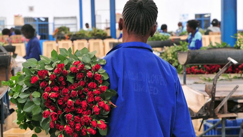 Agoa : Le pacte commercial américain a-t-il profité à l&rsquo;Afrique ?