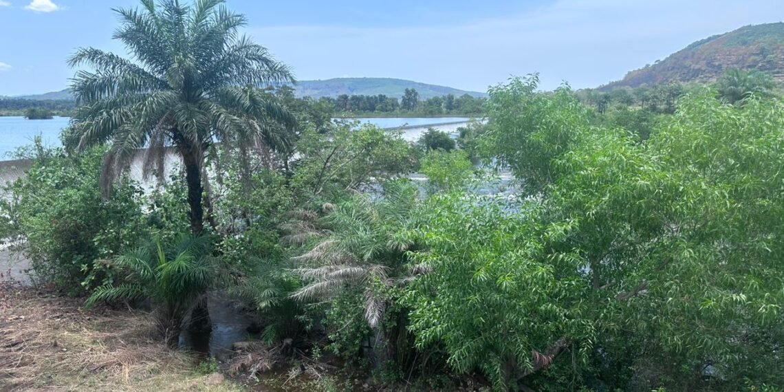 Le Groupe UMS accompagne le grand projet de réhabilitation des têtes de sources des barrages hydroélectriques