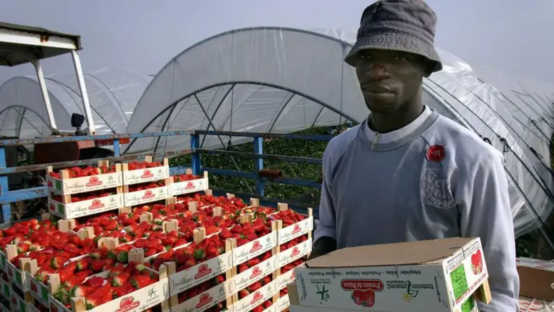 « Les politiques, même ceux de droite, savent que les migrants aident l&rsquo;économie. Ils savent que l&rsquo;Europe a besoin d&rsquo;eux »