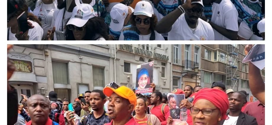 Chronique/Quand la junte guinéenne fait le choix de l’instrumentalisation de la  «diaspourie». (Par Aissatou Cherif Balde)