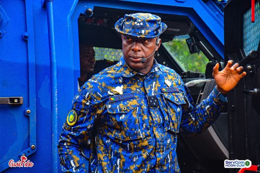 Qui a intérêt à ce que les enlèvements des opposants  continuent en Guinée? (Par Aïssatou Chérif Baldé).