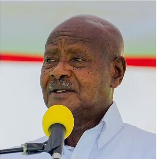 La gérontocratie africaine : De l&rsquo;illusion démocratique à l&rsquo;alternance civique (Par Aliou Niane)
