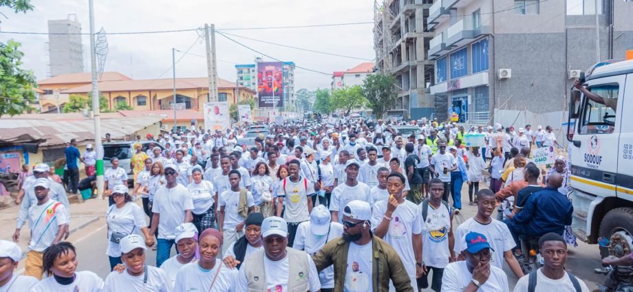 La Guinée face à une jeunesse adepte de la politique « Un palais pour les menteurs et le désert pour le peuple » (Par Aissatou Cherif).