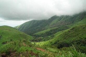 Guinée : un projet d’extraction de fer au mont Nimba alerte sur un risque écologique et social majeur
