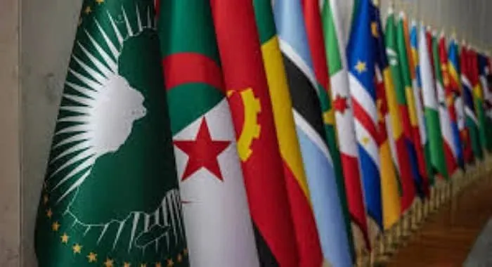 Dix présidentielles en Afrique en 2025 : deux alternances, deux juntes consacrées, six continuités du pouvoir