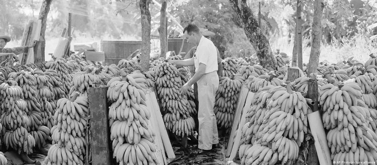La vraie histoire de l&rsquo;expression « république bananière »