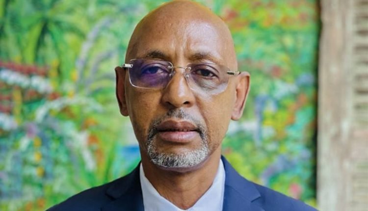 La Guinée et l’illusion des « Nouvelles Républiques » : quand la sémantique précède le droit