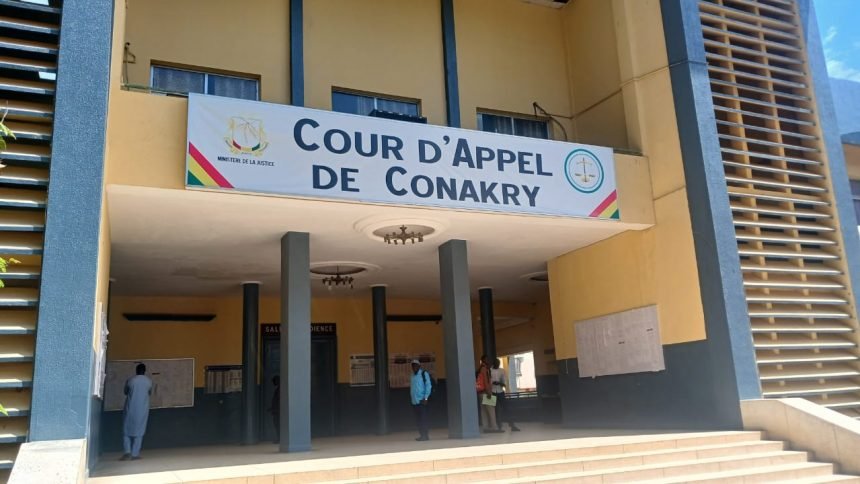 Propos discriminatoires : le parquet de Conakry saisi d’un signalement contre Moussa Mara “El Sissi”
