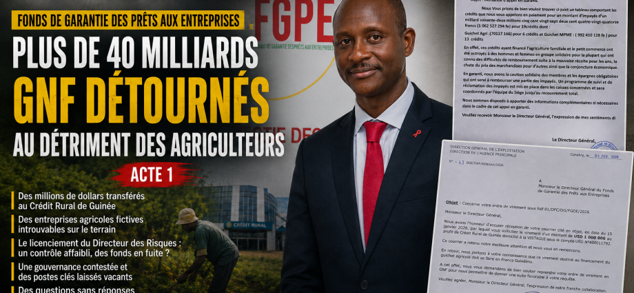 Guinée:Fonds de Garantie des prêts aux entreprises : plus de 40 milliards GNF détournés au détriment des agriculteurs (Acte1).