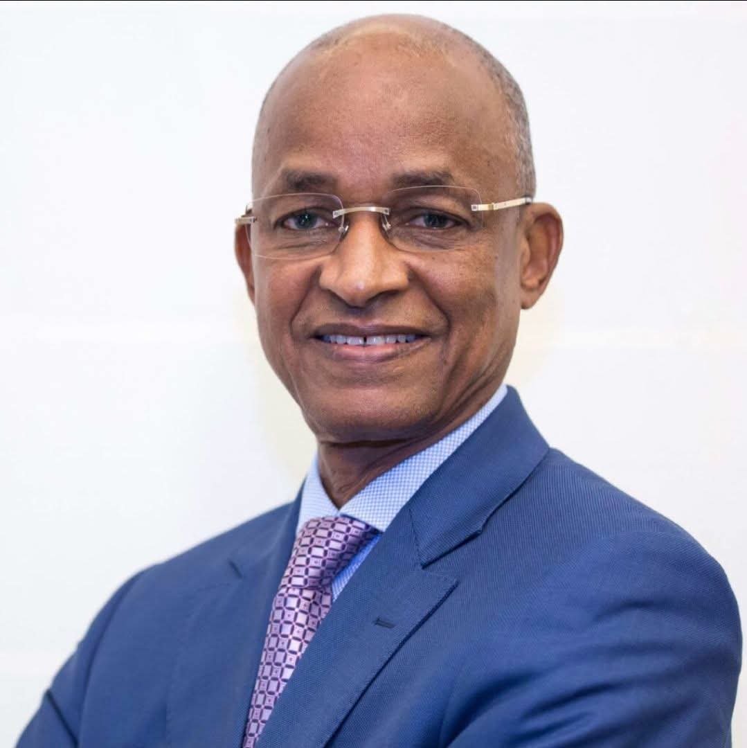 L&rsquo;ACHARNEMENT INOUÏ CONTRE CELLOU DALEIN DIALLO