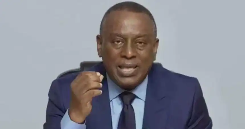 « La Guinée et le Sénégal sont des pays jumeaux » : Cheikh Tidiane Gadio appelle à préserver les liens entre les deux pays
